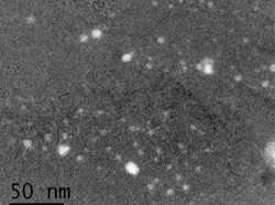 The image shows disperse yttrium oxide (Y2O3) nanoparticles in ODS/Fe12Cr steel. Copyright: Universidad Carlos III de Madrid. (Click to view larger version...)